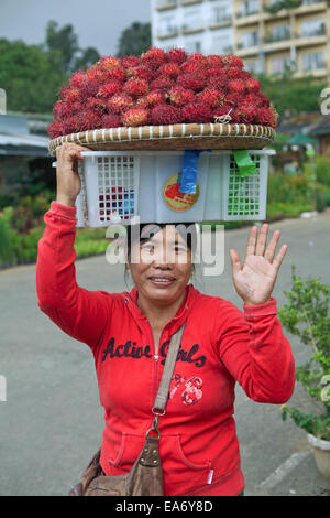 Lächelnde philippinische Frau trägt einen Korb Rambutan Früchte auf dem Kopf. Sie verkauft sie im Burnham Park, Baguio, Philippinen. Stockfoto