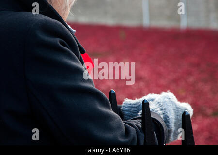 Eine Frau trägt eine Erinnerung Mohnblume auf das Display der Keramik Mohnblumen auf den Tower of London anlässlich die Hundertjahrfeier der WW1 gepflanzt Stockfoto