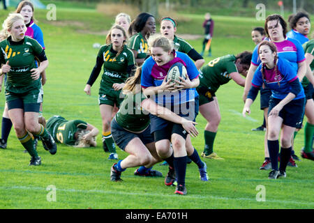 Hochschulsport, der Frauen Rugby Union, UK. Ein Spieler anzugehen. Stockfoto