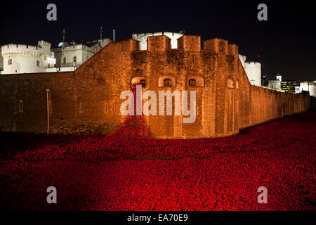 Blut Mehrfrequenzdarstellung Länder und Meere von Red: die Kunst-Installation in den Tower of London - ein Flutlicht Meer von roten Keramik Mohnblumen, November 2014 Stockfoto