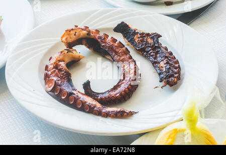 Oktopus in einem griechischen Restaurant. Weißen Tisch Stockfoto