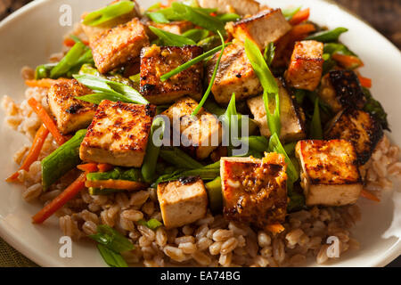 Hausgemachten Tofu unter Rühren braten mit Gemüse und Reis Stockfoto