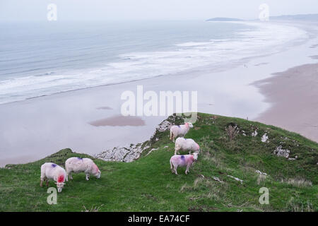 Rhosili, Rhossili, Rhossilli, Bucht, Llangenneth Langenneth, Strand, Worms Head, Wurm Gower Halbinsel, Swansea, Grafschaft Swansea, Wales, Stockfoto