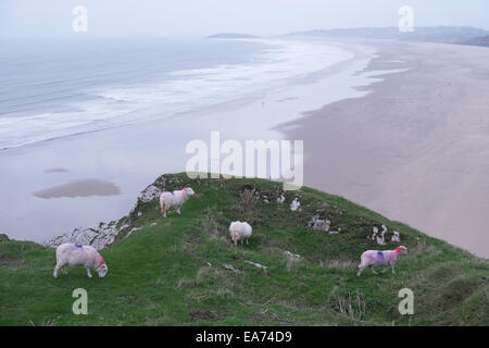 Rhosili, Rhossili, Rhossilli, Bucht, Llangenneth Langenneth, Strand, Worms Head, Wurm Gower Halbinsel, Swansea, Grafschaft Swansea, Wales, Stockfoto