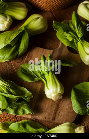 RAW Organic Baby Pok Choi auf einem Hintergrund Stockfoto