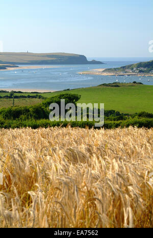 Blick auf den Fluss Camel-Mündung und Padstow über Weizenfelder Stockfoto