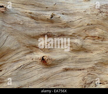 Hintergrundtextur Treibholz Stockfoto