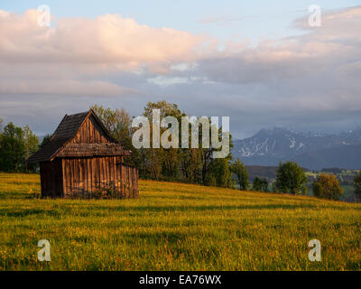 Sommer Sonnenaufgang, den Berg Dorfrand anzeigen und Tatra Bereich hinter (Zab, Polen) Stockfoto