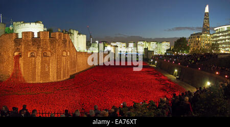 Blick auf den Tower of London Graben voller Mohnblumen in der Abenddämmerung im November 2014 Stockfoto