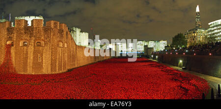 Blick auf den Tower of London Graben voller Mohnblumen in der Nacht im November 2014 Stockfoto