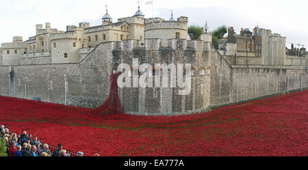 Ansicht der Besucher dieser Seite von der Tower of London Mohn im November 2014 Stockfoto