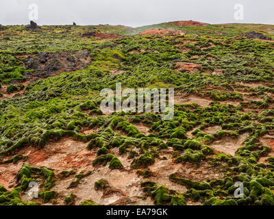 Erdwärmefeldes von Gunnuhver, Reykjanes Halbinsel Reykjanes, Island (Ísland). Stockfoto