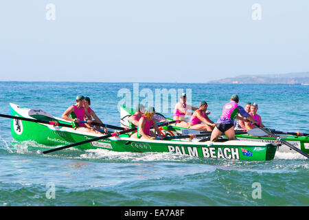 Sydney, Australien. 8. November 2014. Sommer-Classics Renn-Wettbewerb unter Surfclubs befindet sich auf Sydneys Nordstrände beginnt am Bilgola Beach. Australien-Credit: Martin Beere/Alamy Live News Stockfoto