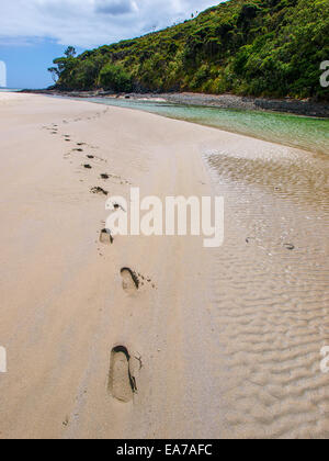 Fußabdrücke auf Sandy Bay Beach in Neuseeland. Unglaubliche orange Sand und das türkisfarbene Wasser Stockfoto