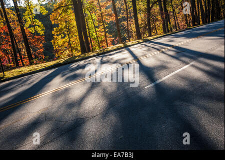 Sonnenbeschienenen Bäume mit lebendigen Herbst Blätter Besetzung lange Schatten über eine Straße in Atlantas malerische Stone Mountain Park. USA. Stockfoto