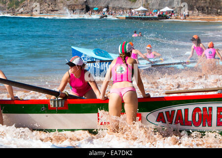 Bilgola Beach Sydney, Surf-Rettungsboote nehmen an den 14/15 Meisterschaftsrennen Teil, Australien, Avalon Beach Frauen Crew Team Stockfoto