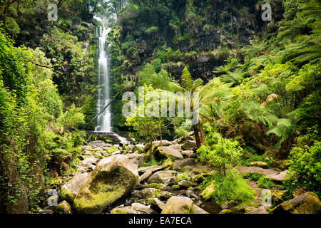 Erskine Falls Wasserfall im Otways National Park entlang der Great Ocean Road, Australien Stockfoto