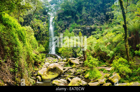 Erskine Falls Wasserfall im Otways National Park entlang der Great Ocean Road, Australien Stockfoto