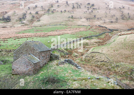 Stein-Scheune mit Wand hinauf zu einem Hügel der charaktervollen Weißdorn-Bäume im Edale Tal im Peak District. Stockfoto