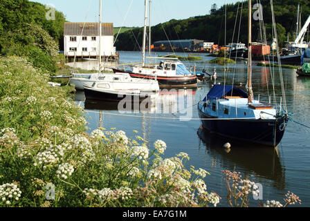 Die Helford River bei Gweek Helston Eidechse Cornwall England Stockfoto