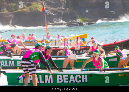 Am bilgola Beach sydney beginnen die 14/15 Surf Club Surf-Rettungsbootrennen für die Sommersaison, Sydney, NSW, Australien, Frauen-Ladies-Rennen Stockfoto