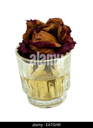 Verwelkte Rose im Glas mit schmutzigem Wasser auf weißem Hintergrund Stockfoto