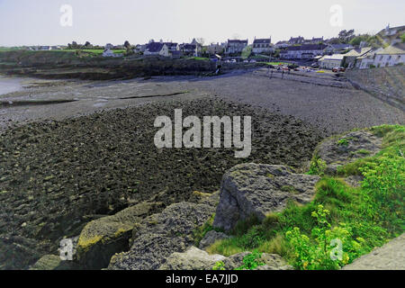 Kiesstrand unterhalb des Dorfes Moelfre, Anglesey, UK bei Ebbe im Sommer Stockfoto