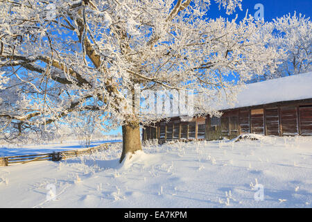 Alte Scheune in Winterlandschaft Stockfoto