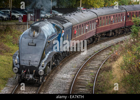 Die A4 Pacific Sir Nigel Gresley zieht Heywood Bahnhof. Der East Lancashire Railway Herbst Dampf Gala Oktober 2014. Stockfoto