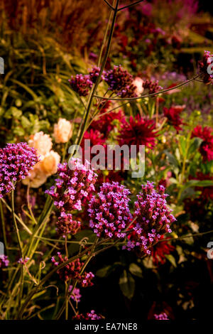 Der Garten des Komponisten Ned Bigham in seinem Haus West Sussex - Bignor Park House. Stockfoto