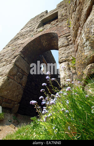 Blick vom Erdgeschoss außen nach oben in das alte Maschinenhaus von Ding Dong mir St Just Bereich Lands End Penwith West Mais Stockfoto