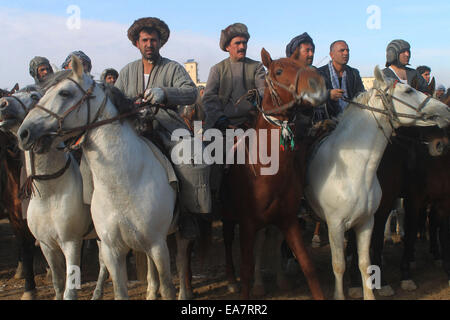 Balkh, Afghanistan. 8. November 2014. Afghanische Reiter Line-up während einer Partie Buzkashi in der Provinz Balkh, Nord-Afghanistan, am 8. November 2014. Buzkashi ist ein afghanischer Nationalsport, die zwischen zwei Teams von Reitern, die im Wettbewerb um eine Ziege Karkasse in einem scoring Kreis werfen gespielt wird. Bildnachweis: Azorda/Xinhua/Alamy Live-Nachrichten Stockfoto