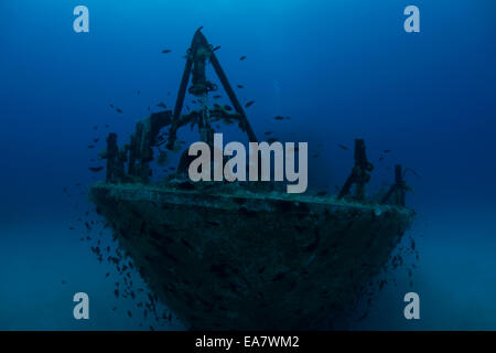 P31 Wrack in Comino, Malta, Mittelmeer. Ein altes Patrouillenboot versunkene ein Tauchgang Attraktion sein. Stockfoto
