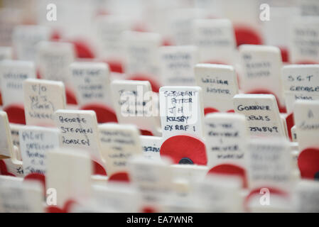 Westminster Abbey, London, UK. 8. November 2014. Dem Bereich des Gedenkens vor Westminster Abbey, die Gedenkgarten wird jährlich von der Royal British Legion organisiert. Bildnachweis: Matthew Chattle/Alamy Live-Nachrichten Stockfoto