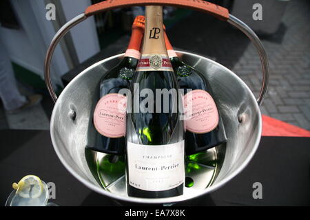Champagner im Eimer Stockfoto