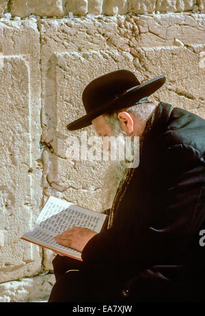 Älterer Jude, der ein Gebetsbuch an der Westmauer, Jerusalem, Israel, liest Stockfoto