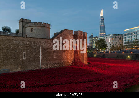 London, UK, 8. November 2014.  Tausende von Besuchern kommen im Morgengrauen an den Tower of London zu sehen, Keramiker, Paul Cummins Kunst-Installation, "Blut Mehrfrequenzdarstellung Länder und Meere of Red".  Die Arbeit würdigt 100 Jahre seit dem ersten vollen Tag der Beteiligung Großbritanniens im ersten Weltkrieg und jede 888.246 Mohn steht ein britischer oder kolonialen militärische Todesfälle während des Krieges.  Der letzte Mohn wird symbolisch am 11. November 2014, Tag des Waffenstillstands gepflanzt werden.  Im Bild: das "weinende Fenster" füllt den trockenen Graben.  Bildnachweis: Stephen Chung/Alamy Live-Nachrichten Stockfoto