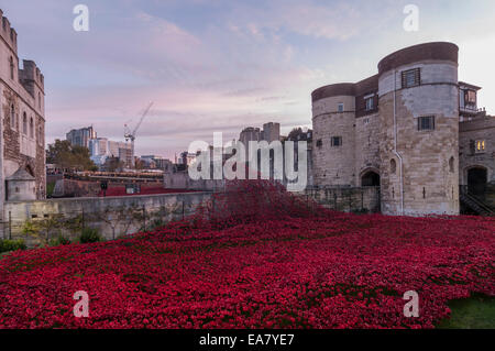 London, UK, 8. November 2014.  Tausende von Besuchern kommen im Morgengrauen an den Tower of London zu sehen, Keramiker, Paul Cummins Kunst-Installation, "Blut Mehrfrequenzdarstellung Länder und Meere of Red".  Die Arbeit würdigt 100 Jahre seit dem ersten vollen Tag der Beteiligung Großbritanniens im ersten Weltkrieg und jede 888.246 Mohn steht ein britischer oder kolonialen militärische Todesfälle während des Krieges.  Der letzte Mohn wird symbolisch am 11. November 2014, Tag des Waffenstillstands gepflanzt werden.  Im Bild: die "Welle" vor dem Haupteingang.  Bildnachweis: Stephen Chung/Alamy Live-Nachrichten Stockfoto