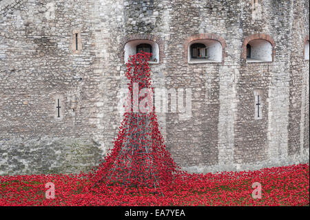 London, UK, 8. November 2014.  Tausende von Besuchern kommen im Morgengrauen an den Tower of London zu sehen, Keramiker, Paul Cummins Kunst-Installation, "Blut Mehrfrequenzdarstellung Länder und Meere of Red".  Die Arbeit würdigt 100 Jahre seit dem ersten vollen Tag der Beteiligung Großbritanniens im ersten Weltkrieg und jede 888.246 Mohn steht ein britischer oder kolonialen militärische Todesfälle während des Krieges.  Der letzte Mohn wird symbolisch am 11. November 2014, Tag des Waffenstillstands gepflanzt werden.  Im Bild: das "weinende Fenster" füllt den trockenen Graben.  Bildnachweis: Stephen Chung/Alamy Live-Nachrichten Stockfoto