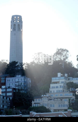 Coit Tower, Russian Hill, San Francisco, CA. Stockfoto