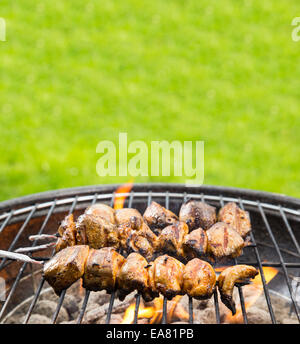Leckere gegrillte Hähnchen-Spieße in Brand Stockfoto