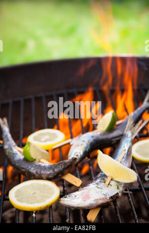 Leckere gegrillte Sardins auf grill Stockfoto