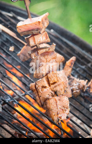 Leckere gegrillte Hähnchen-Spieße in Brand Stockfoto