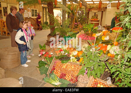 Lost-Gärten von Heligan Familie bewundern künstlerische bunten Herbst produzieren Display unter dem Deckmantel Gebäudeinneren Shop Restor Stockfoto