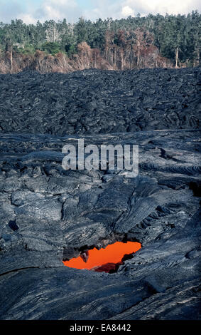 Geschmolzene Lava-Gestein, das aus seiner extremen Hitze fließt aus einer Eruption des Vulkans Kilauea auf Hawaii, USA in den 1980er Jahren glüht. Stockfoto