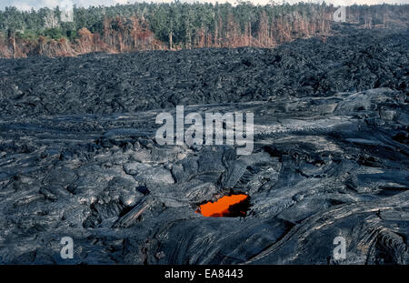 Geschmolzene Lava-Gestein, das aus seiner extremen Hitze fließt aus einer Eruption des Vulkans Kilauea auf Hawaii, USA in den 1980er Jahren glüht. Stockfoto