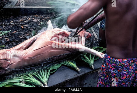 Heiße Steinen befinden sich im Inneren ein großes Schwein, die ist dann gewickelt und begraben in einer Grube von heißen Kohlen langsam kochen als Hauptgericht von einem traditionellen Luau auf Hawaii, USA.  Die beträchtlichen Felsen setzen in das Schwein auch säumen die Grube und Flussbetten stammen; Sie sind nicht Lavafelsen von Hawaii vulkanische Eruptionen, die explodieren können, wenn Sie erhitzt durch Kohlen aus einem Holz-Feuer in der Grube. Wenn die Flammen brennen nieder, und die Felsen sind sehr heiß, die Grube ist mit Bananenblättern ausgekleidet, das Schwein ist in einem Draht Träger abgesenkt und mit nassem Sackleinen und Sand bedeckt, während das Fleisch für 6 bis 7 Stunden kocht. Stockfoto