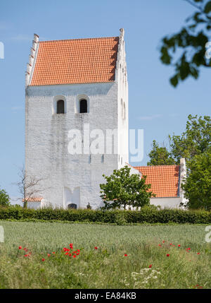Stubberup Kirke mit Mohnblumen. Eine typische dänische weiß getünchten Landkirche.  Ein Feld mit einer wilden Mohn im Vordergrund. Stockfoto