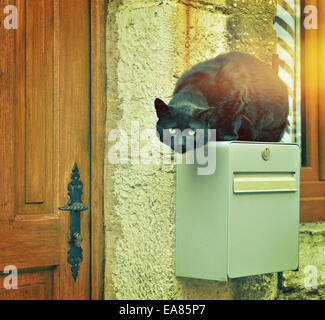 Große schwarze Straße Katze sprang auf Haus-Briefkasten. Angewendete Filter Stockfoto