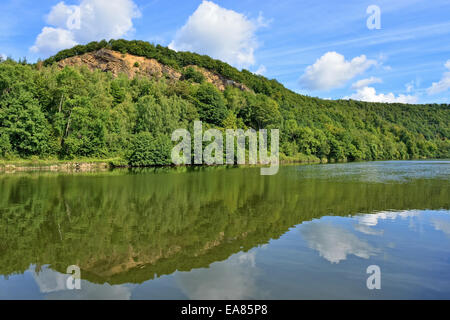 Waldbäume reflektiert im Flusswasser in sonnigen Sommertag in der Nähe von Fumay in Ardennen, Frankreich Stockfoto